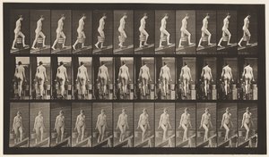 Plaka 81. Artan Eğim. by Eadweard Muybridge