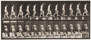 Levha 83. Yükselen Eğim Sağ Elde Kova Su by Eadweard Muybridge