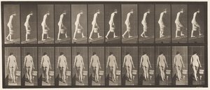 Plaka 84. Yükselen Eğim Sağ Elde Kova Su by Eadweard Muybridge