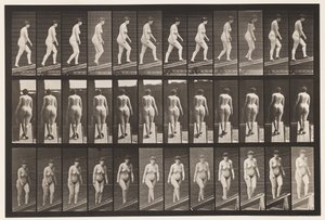 Plaka 86. Artan Eğim by Eadweard Muybridge