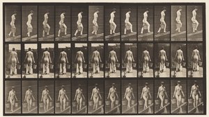 Levha 87. Yükselen Eğim, Her Bir Elinde Kova Su by Eadweard Muybridge