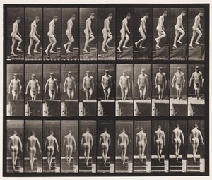 Levha 88. Yükselen Merdivenler, 1872-1885 by Eadweard Muybridge