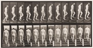 Plaka 89. Yükselen Merdivenler by Eadweard Muybridge
