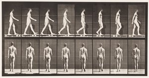Plaka 8. Yürüyüş by Eadweard Muybridge