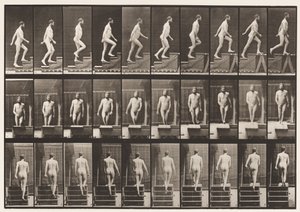 Plaka 90. Yükselen Merdivenler by Eadweard Muybridge