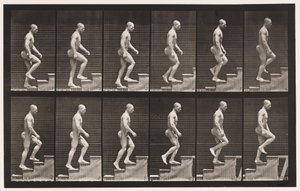 Plaka 91. Yükselen Merdivenler by Eadweard Muybridge