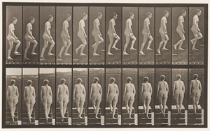Plaka 92. Yükselen Merdivenler by Eadweard Muybridge