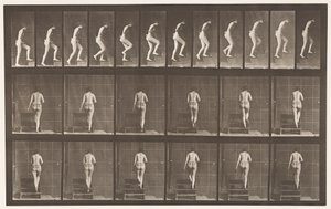 Plaka 93. Yükselen Merdivenler by Eadweard Muybridge