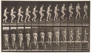 Plaka 94. Yükselen Merdivenler Etrafa Bakıyor; Ellerinde lavabo by Eadweard Muybridge