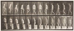 Levha 98. Dönen ve Çıkan Merdivenler, 1872-1885 by Eadweard Muybridge