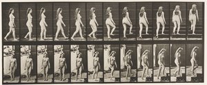 Plaka 99. Dönen ve Çıkan Merdivenler by Eadweard Muybridge