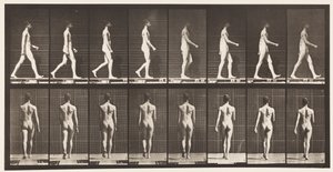 Plaka 9. Yürüyüş, 1872-1885 by Eadweard Muybridge