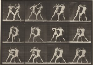  by Eadweard Muybridge