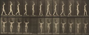  by Eadweard Muybridge