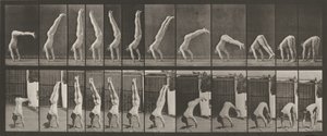  by Eadweard Muybridge