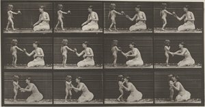  by Eadweard Muybridge