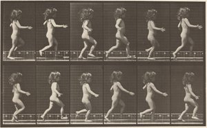  by Eadweard Muybridge