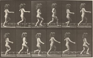 Plaka Numarası 469. Koşan çocuk by Eadweard Muybridge
