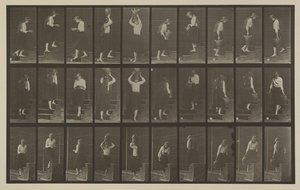 Plaka Numarası 504. Çıkan ve inen merdivenler by Eadweard Muybridge