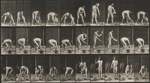  by Eadweard Muybridge