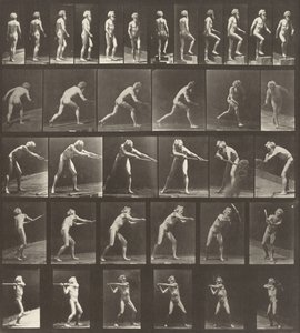 Plaka Numarası 521. A: Yürüyüş. B: Bir basamak çıkmak. C: Diski fırlatmak. D: Kürek kullanmak. E, F: Bir seçim kullanma by Eadweard Muybridge