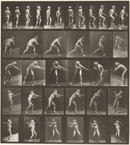  by Eadweard Muybridge