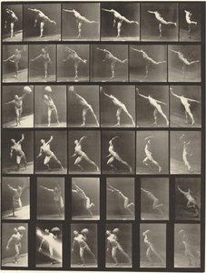 Plaka Numarası 523. A: Bir darbe vurmak. B, E: Disk atma. C, F: 75 librelik bir ağırlık kaldırma. taş. D: Top atmak by Eadweard Muybridge