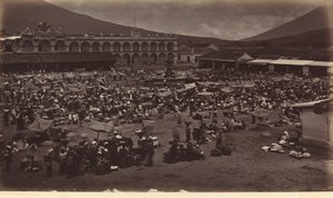 Plaza ve Viceroy