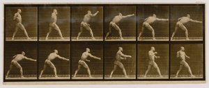  by Eadweard Muybridge