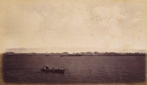  by Eadweard Muybridge
