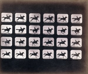 Eadweard J. Muybridge tarafından Koşma (Dörtnala) by Eadweard Muybridge