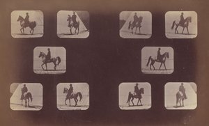 Kısaltma Çalışmaları. Atlar. Yürüme. Muhammed. 119-120 by Eadweard Muybridge
