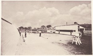 Anlık Fotoğrafta Gösterilen Hareket Halindeki At. Anatomi Üzerine Temellendirilen Hayvan Mekaniği Üzerine Bir Çalışma ve Kameranın Vahiyleri ile. Leland Stanford