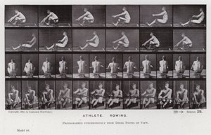 Hareket Halindeki İnsan Figürü: Sporcu, Kürek Çekme (s/b fotoğraf) by Eadweard Muybridge