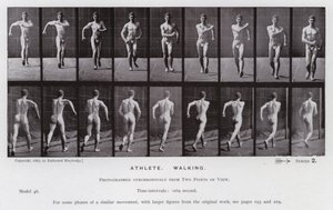 Hareket Halindeki İnsan Figürü: Sporcu, Yürüyüş (s/b fotoğraf) by Eadweard Muybridge
