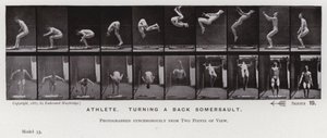 Hareket Halindeki İnsan Figürü: Atlet, arkadan takla atıyor (s/b fotoğraf) by Eadweard Muybridge