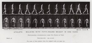 Hareket Halindeki İnsan Figürü: Bir elinde elli kiloluk ağırlıkla yürüyen atlet (s/b fotoğraf) by Eadweard Muybridge