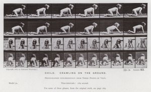Hareket Halindeki İnsan Figürü: Yerde emekleyen çocuk by Eadweard Muybridge