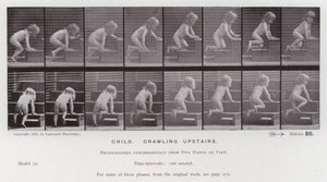 Hareket Halindeki İnsan Figürü: Üst katta emekleyen çocuk (s/b fotoğraf) by Eadweard Muybridge