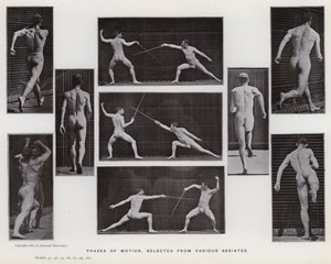 Hareket Halindeki İnsan Figürü: Çeşitli dizilerden seçilen hareketin evreleri (s/b fotoğraf) by Eadweard Muybridge