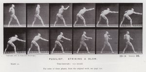 Hareket Halindeki İnsan Figürü: Pugilist, bir darbe vuruyor (s/b fotoğraf) by Eadweard Muybridge