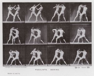 Hareket Halindeki İnsan Figürü: Boksörler, Boks (s/b fotoğraf) by Eadweard Muybridge