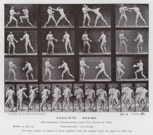 Hareket Halindeki İnsan Figürü: Boksörler, Boks (s/b fotoğraf) by Eadweard Muybridge