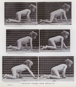 Hareket Halindeki İnsan Figürü: 83. seriden seçilmiş evreler (s/b fotoğraf) by Eadweard Muybridge