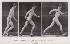 Hareket Halindeki İnsan Figürü: Bir sporcunun yürüyüşünün bazı aşamaları (s/b fotoğraf) by Eadweard Muybridge