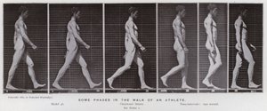 Hareket Halindeki İnsan Figürü: Bir sporcunun yürüyüşünün bazı aşamaları (s/b fotoğraf) by Eadweard Muybridge