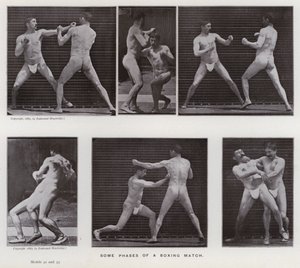 Hareket Halindeki İnsan Figürü: Bir boks maçının bazı aşamaları (s/b fotoğraf) by Eadweard Muybridge