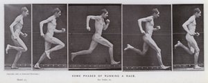 Hareket Halindeki İnsan Figürü: Bir yarış için koşmanın bazı aşamaları (s/b fotoğraf) by Eadweard Muybridge