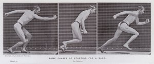 Hareket Halindeki İnsan Figürü: Bir yarışa başlamanın bazı aşamaları (s/b fotoğraf) by Eadweard Muybridge