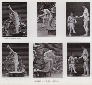 Hareket Halindeki İnsan Figürü: Çeşitli hareket eylemleri (s/b fotoğraf) by Eadweard Muybridge